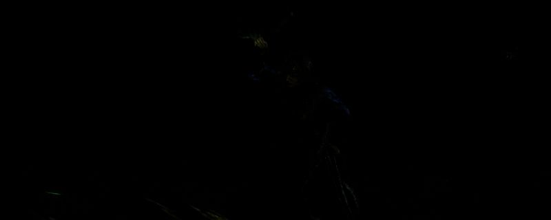 《流放之路2》武僧装备相关图片