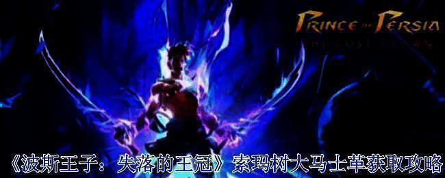 索玛树地图相关图示