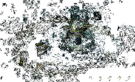 《代号:Dragon》战斗爽感画面