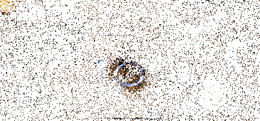 《三国诛将录》游戏技能特效动态图