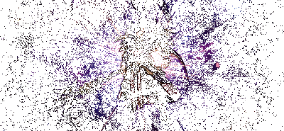 《三国诛将录》武将超越后模型动态图