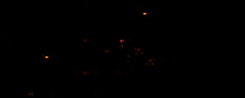 星露谷物语中熔岩蟹相关场景