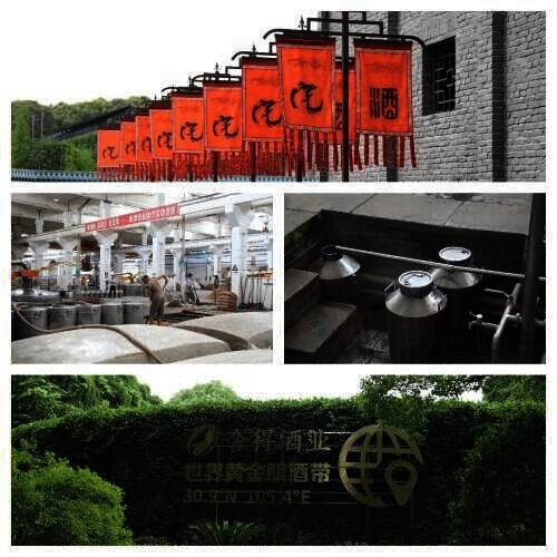 玩家参观舍得酒业厂区照片