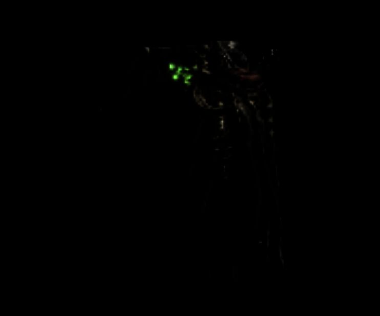 《怪物猎人：荒野》泄露装备图片33