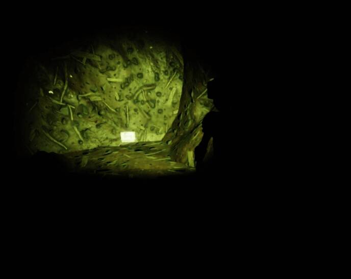 红蚁丘盗墓芯片位置