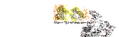 《奈里：浪潮》游戏动图1