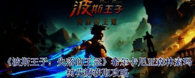 希尔卡尼亚森林相关画面