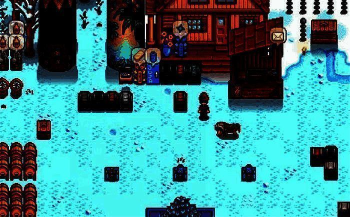 星露谷物语中阅读马相关书籍的画面