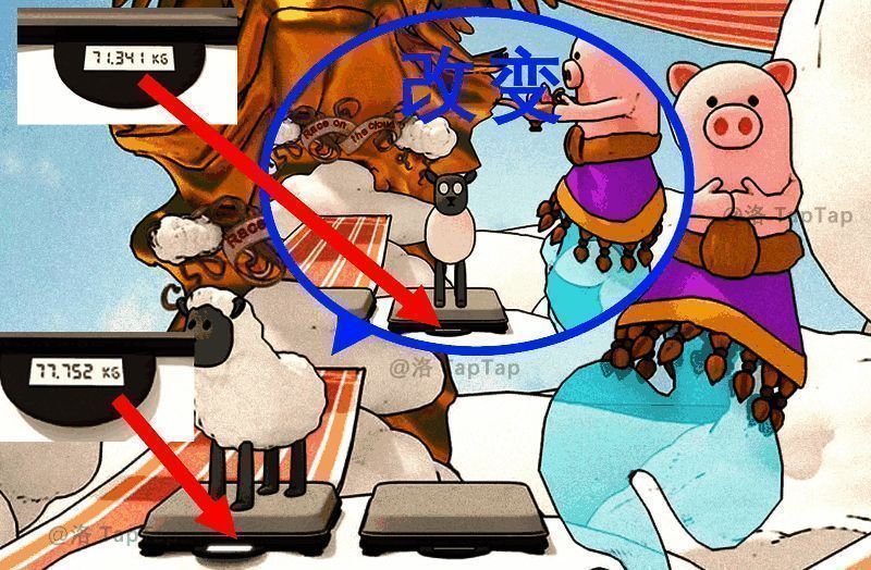 查看羊体重变化图片