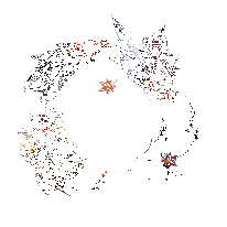 寒鸦渡影·霜叶动态头像框动图