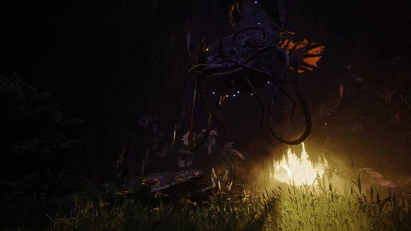 《午夜之南》相关画面19