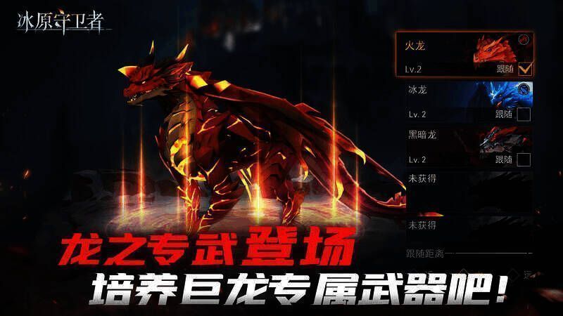 全新龙专武器展示