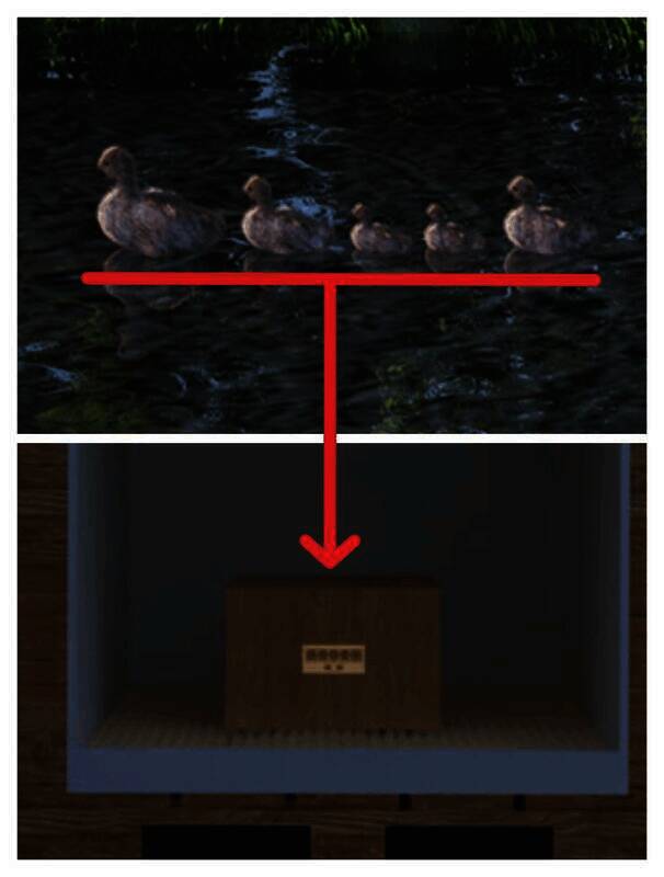 夏天场景房顶打鸟及鸭子排列画面