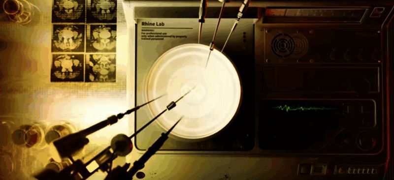 如图片无法显示,请刷新页面 莱茵生命相关画面