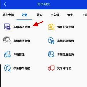 警察叔叔APP车辆违法处理页面示例图