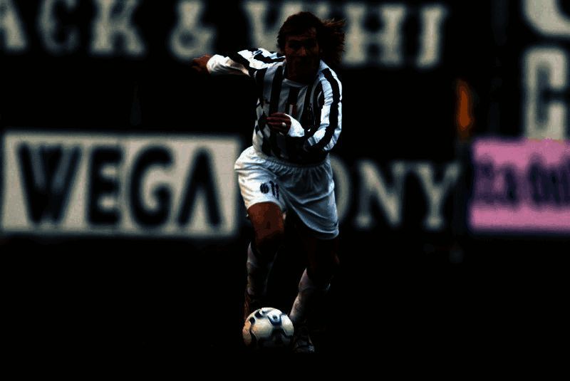 内德维德相关图片2