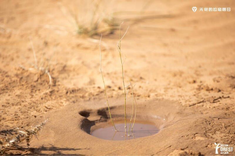 聆听曲率钟声活动画面