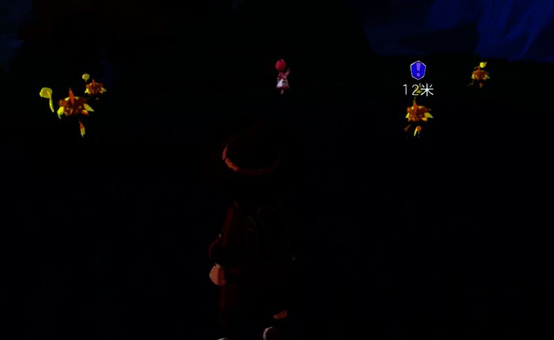 星光狮相关图片4