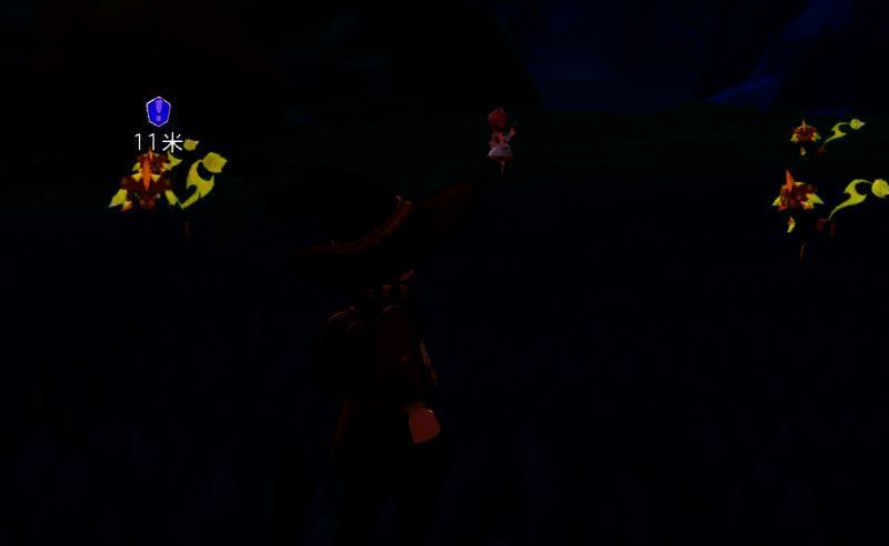 星光狮相关图片5