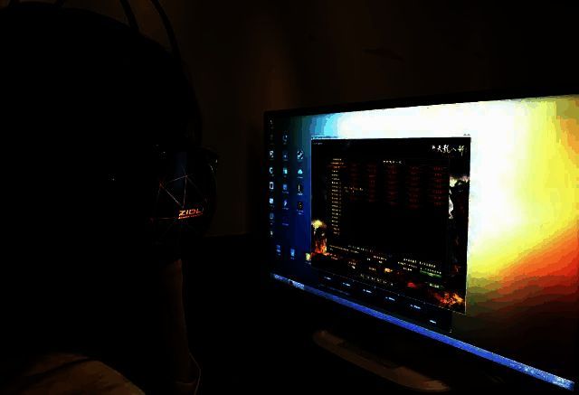 墨镜猫相关图片2