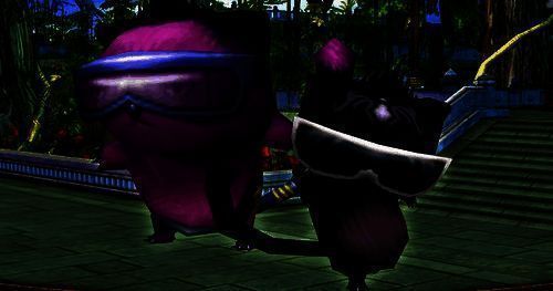 墨镜猫相关图片3