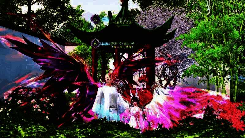 悦君兮和青云杳的图片