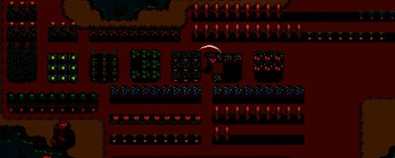 梦幻岛相关图片1