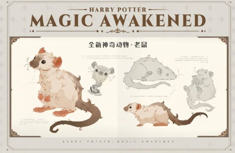 神奇动物老鼠展示图