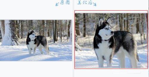 修改后的图片尺寸