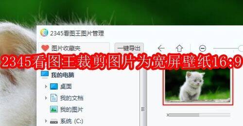 2345看图王相关图片示例