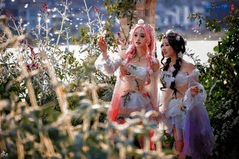 余情在花海中的画面