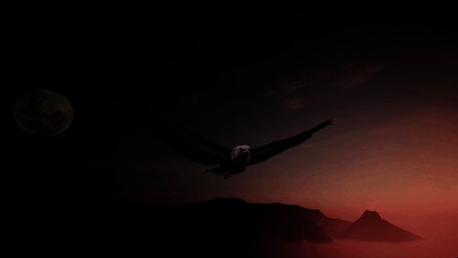 《绝世好武功》相关宣传图4