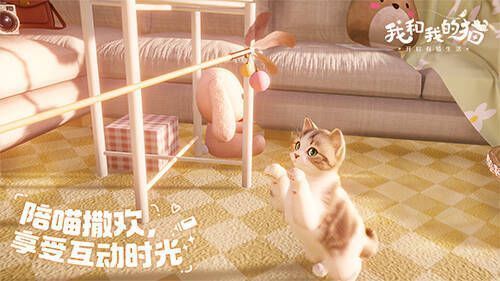 《我和我的猫》游戏中玩家与猫咪互动画面