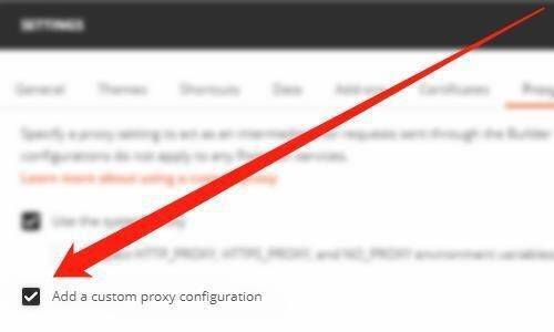 勾选Postman的自定义代理配置选项界面