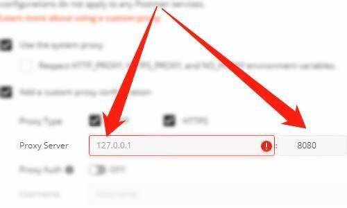 输入Postman代理地址和端口界面