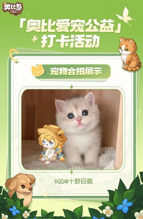 小奥比与宠物可爱合拍图1