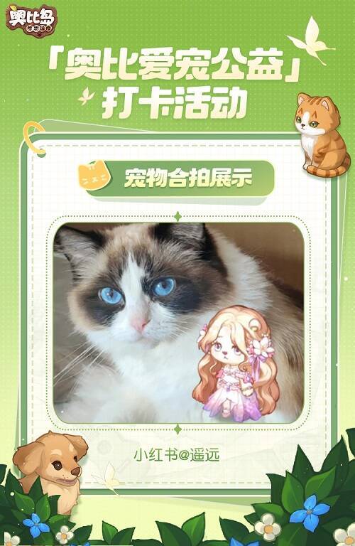 小奥比与宠物可爱合拍图11