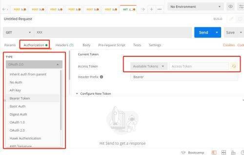 在Postman中输入token信息的界面图