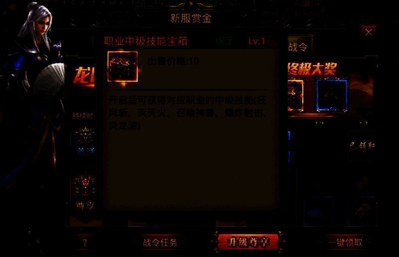 热血战令尊享版10级奖励图