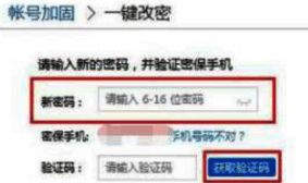 输入新密码和验证码后的界面