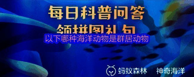 神奇海洋相关图片1