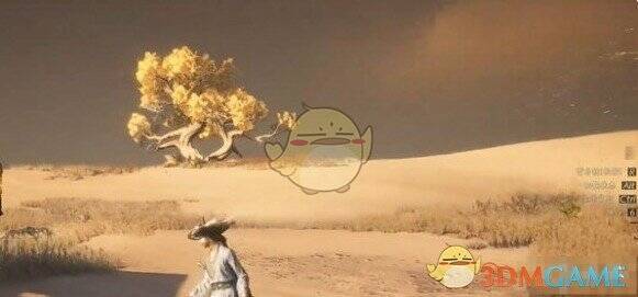 正西方向树的图片