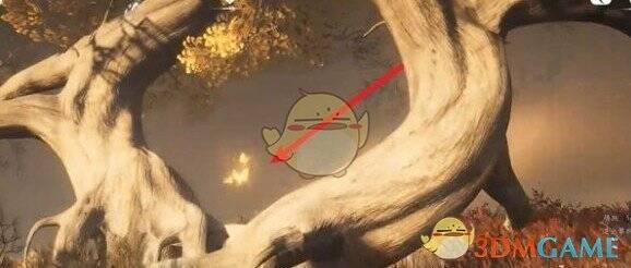 靠近树后看到的天地万籁图片