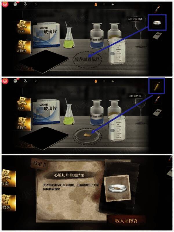 心脏切片检测配图