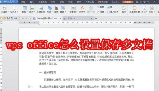 WPS Office软件界面示例图