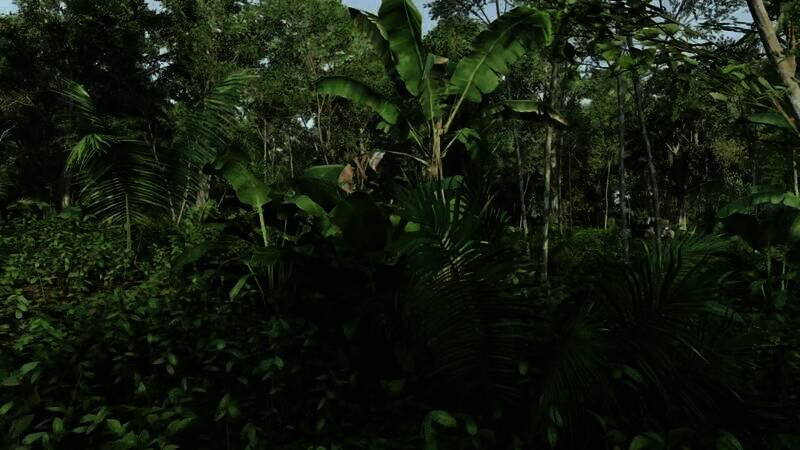 《极限竞速：地平线5》游戏画面10