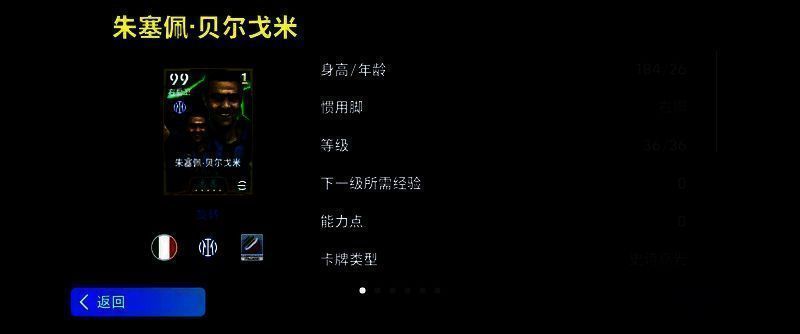 贝尔戈米赛场英姿