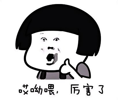 锆石级突击护卫舰图片