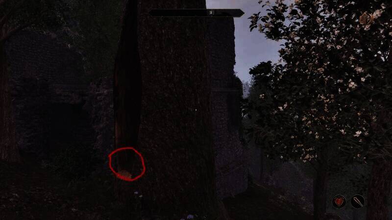 《上古卷轴4:重制版》刷金币相关场景图