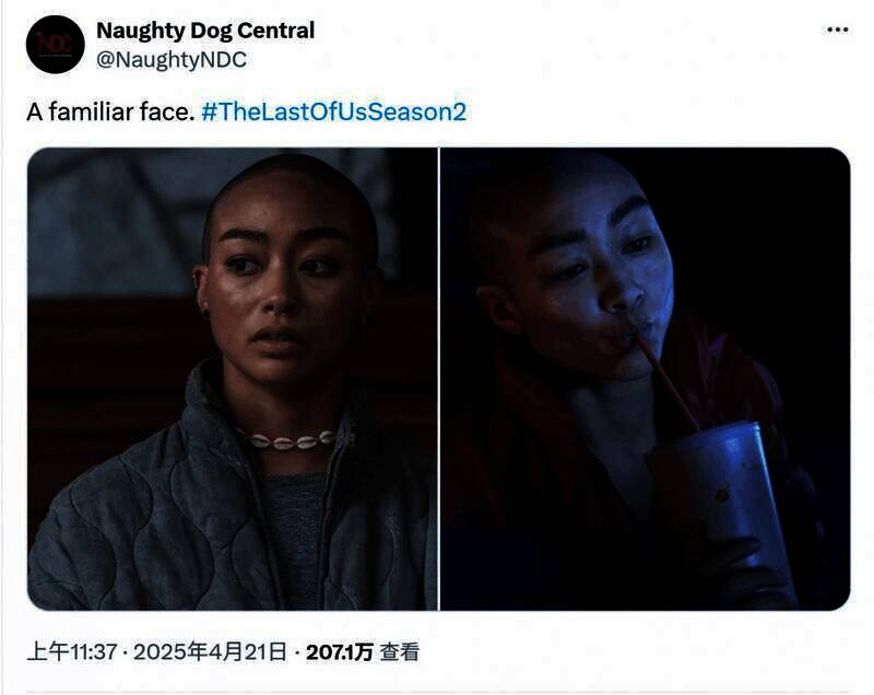 《最后的生还者》相关画面2